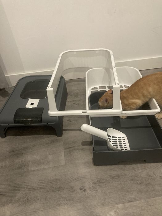 Caixa de Areia para Gato