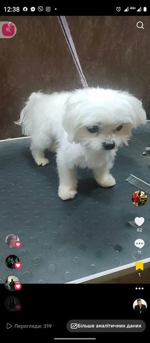 Готовий до в'язки