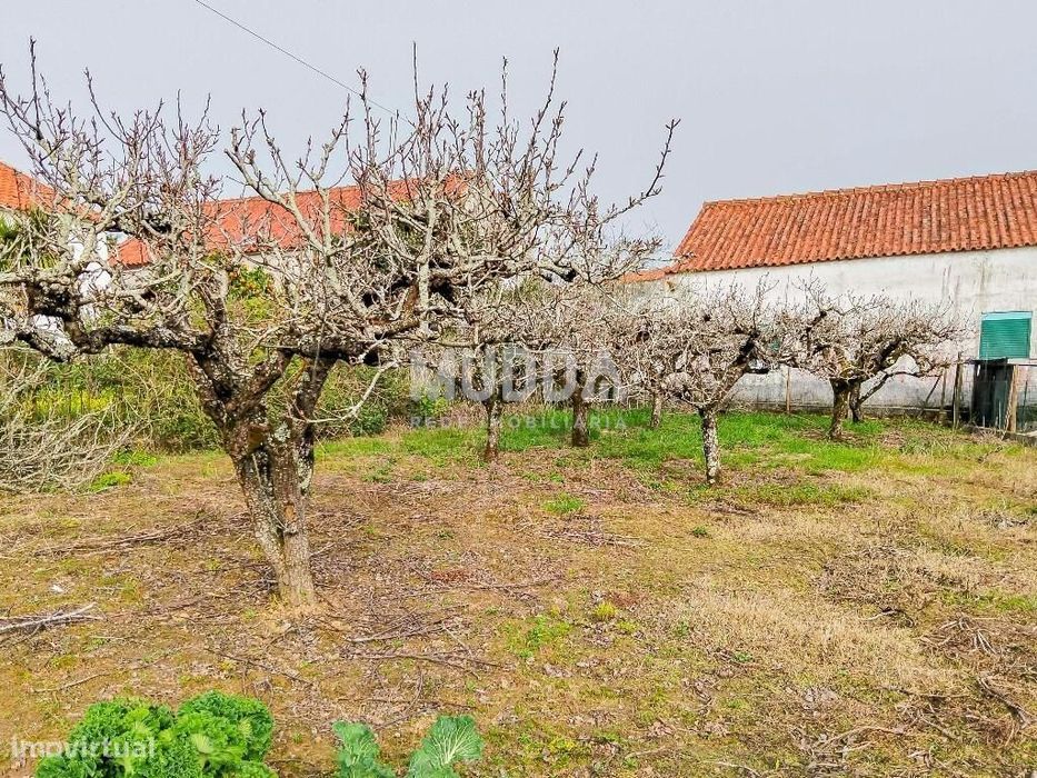 Ruína para recuperar com terreno de 1.050 m2 poço e árvores de fruto A