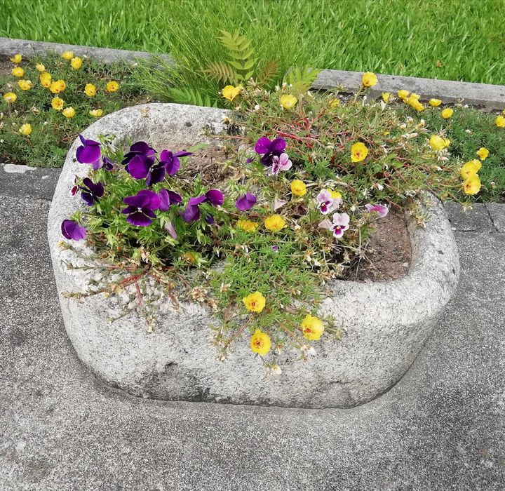 Peso + mó + pia dupla + coluna de pedra (rústicos)