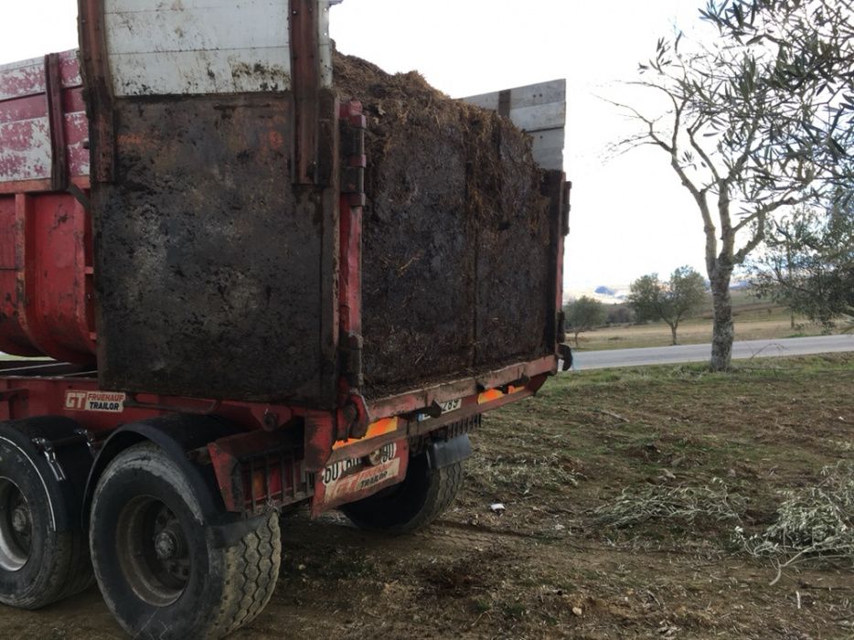 Estrume / fertilizante orgânico