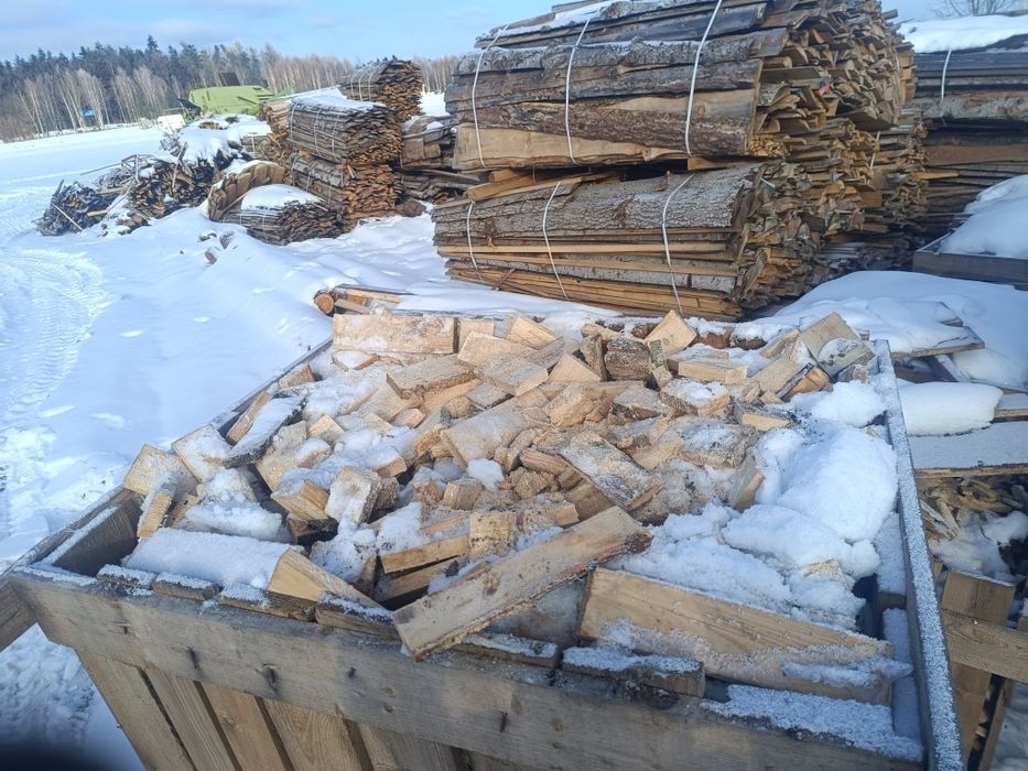 Obrzynki sosnowe jodłowe