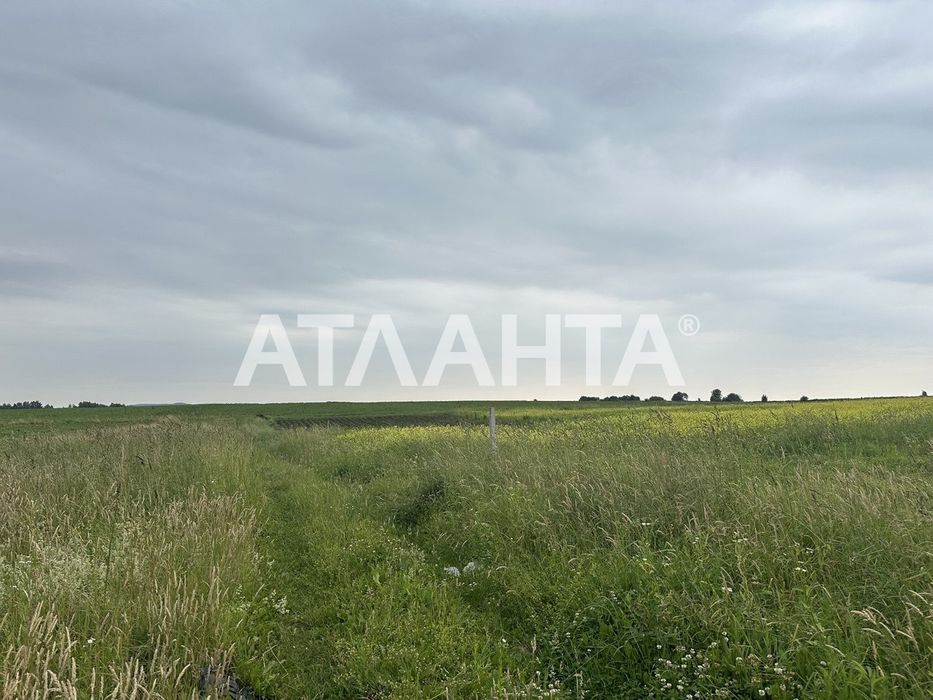 ТЕРМІНОВО! Продаж Ділянки. с . Чижиків, 12.94сот