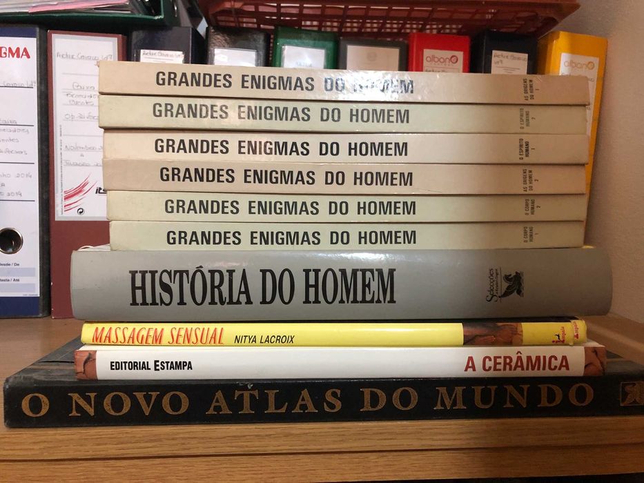 Lote de Livros de Vários Temas