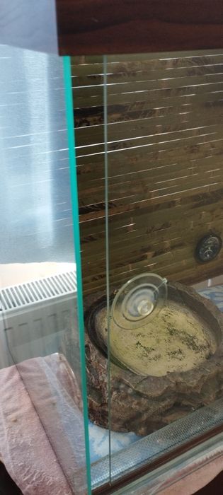 Продам тераріум для змії
