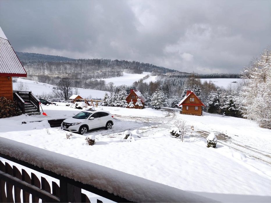 domki w Bieszczadach + SPA, alpaki i inne zwierzaki