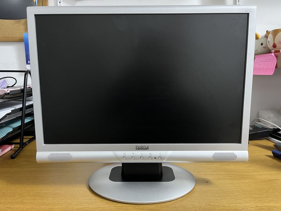 Monitor Tarda Visinary 19’