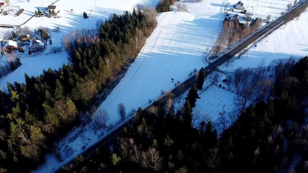 Działka uslugowo przemyslowa 1ha  przy drodze wojewódzkiej - Widok 2