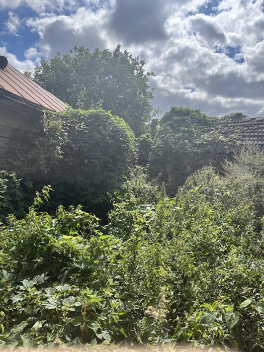 Продаж будинку Котельва