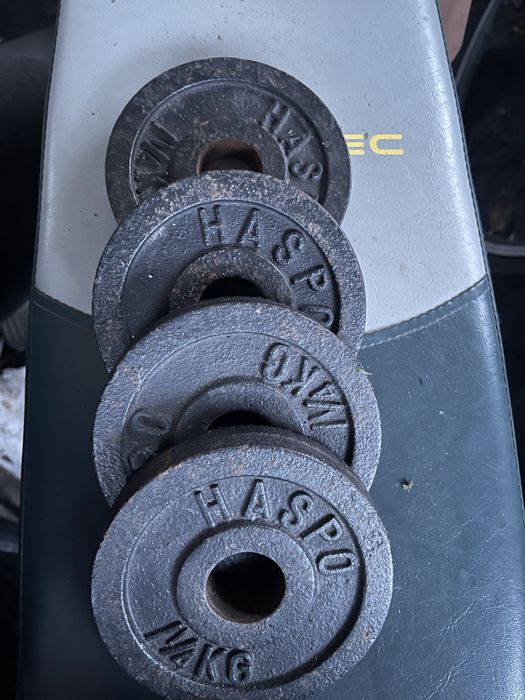 Obciążenie żeliwne 1.25 kg Haspo 4 szt