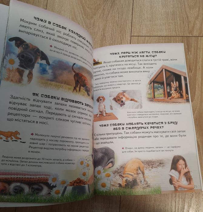 Дитяча енциклопедія Запитайкам