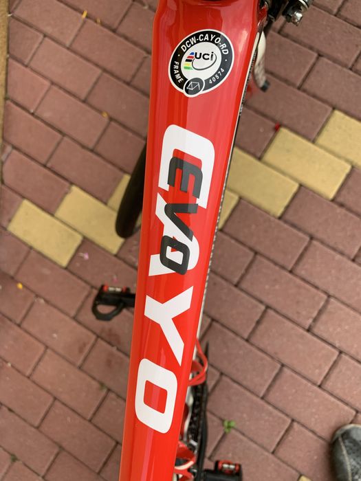 Rower szosowy Focus Cayo Evo 5.0