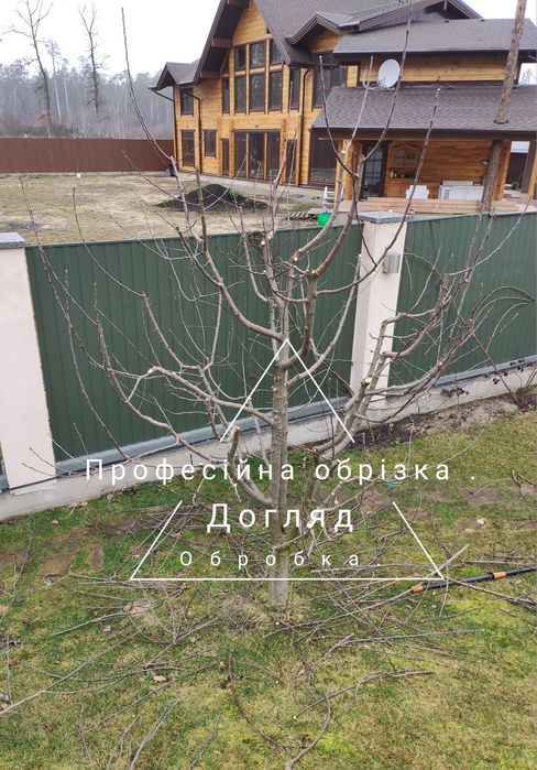 Обрізка саду Обрезка сада Обрізка дерев Обрезка деревьев