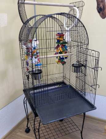 Клітка для декоративних папуг