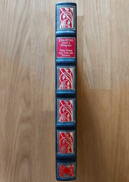 Miguel de Unamuno - Amor e Pedagogia - Nada menos que todo um Homem