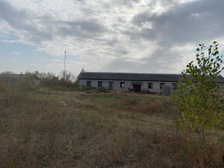 Деревообробне господарство в 50 км від Києва