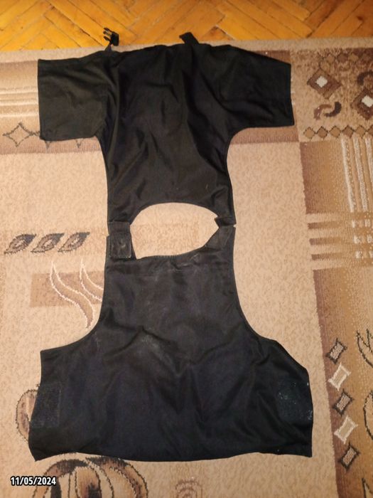 Плитоноска чорная