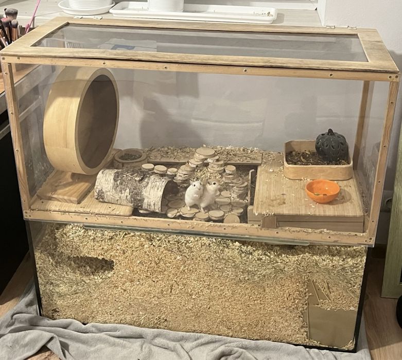 Akwarium dla chomika