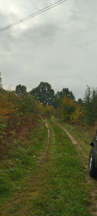 Земельна ділянка с. Береги