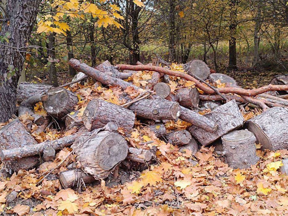 Drewno mieszane ok, 5m