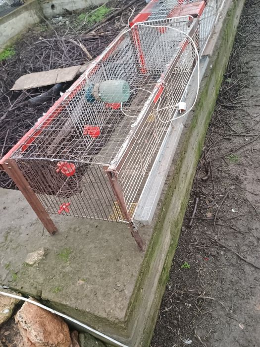 Клітки для циплят, кур