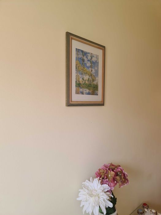Quadro Pequeno Moldura Flores Serigrafia Wall Frame Botanic Flowers