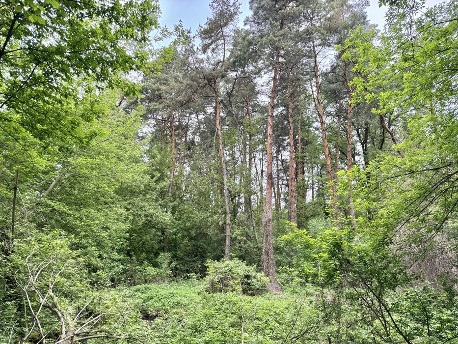 Земельні ділянки під садівництво! Вороньків!