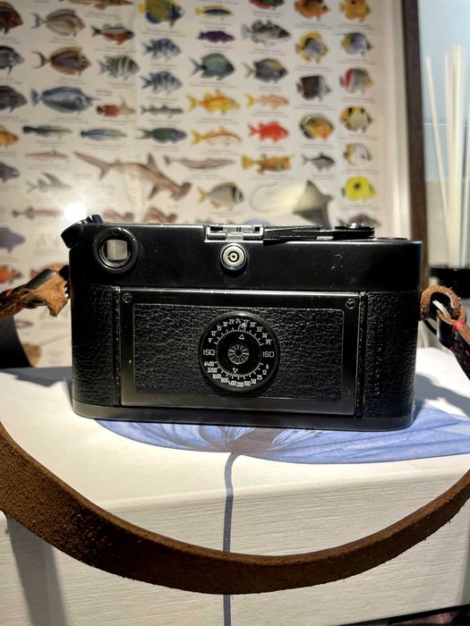 Leica M6 com Voigtlander Nokton 35mm F1.4