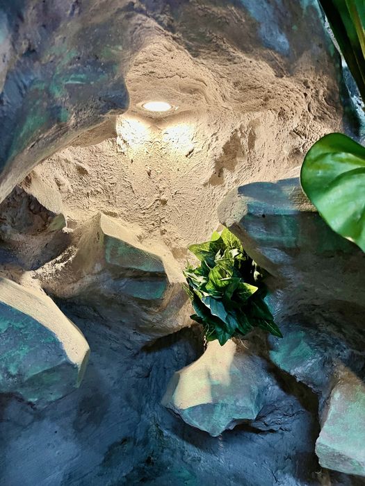 Profesjonalne Terrarium z Kamienia