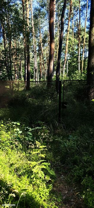 Działka 1567 m² z potencjałem podziału – Żarki-Letnisko