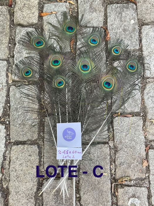 Pavão, penas para decoração
