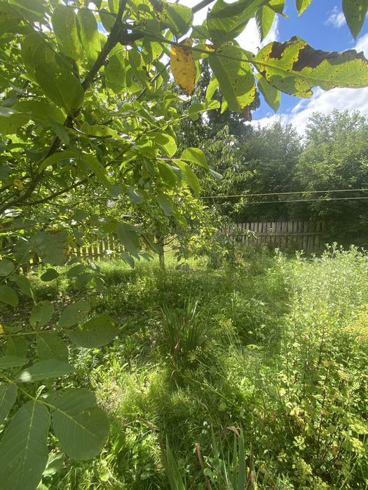 Продам ветхій будинок з земельною ділянкою  в центрі  села Глибочиця