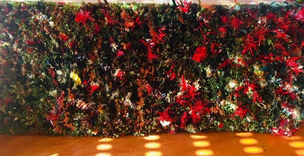 Tapete em Esmirna 160*155