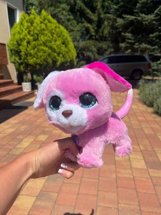 Piesek szczeka rusza się