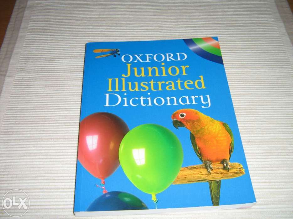 Dicionário Júnior Inglês