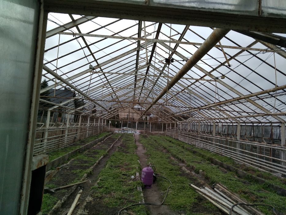 Rozbiórka oraz skup szklarni Cała Polska