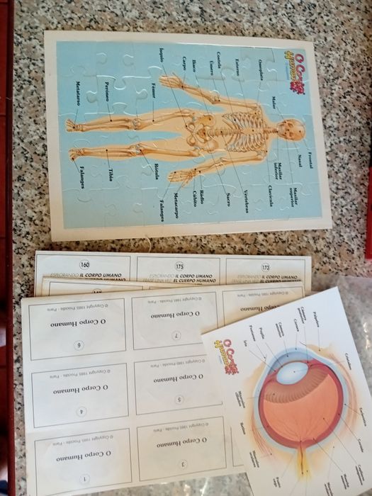 Colecção Era Uma Vez O Corpo Humano