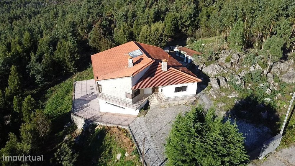 Quinta c/ Moradia – Sever do Vouga