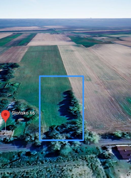 Działka 3748 m² z WZ na 4 domy | Słońsko | 9 km od Inowrocławia