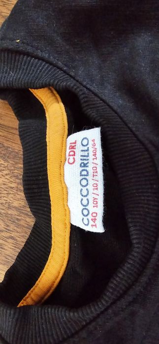 Bluza, sweter Coccodrillo