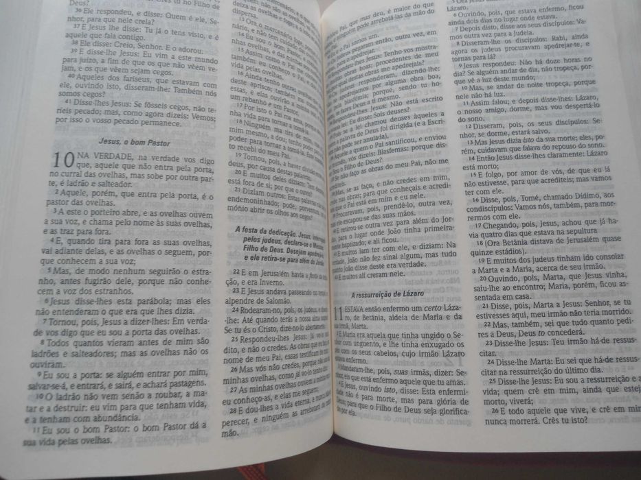Bíblia Sagrada com concordância