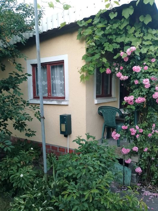 Działka ROD Reja 344 m² - Więcej