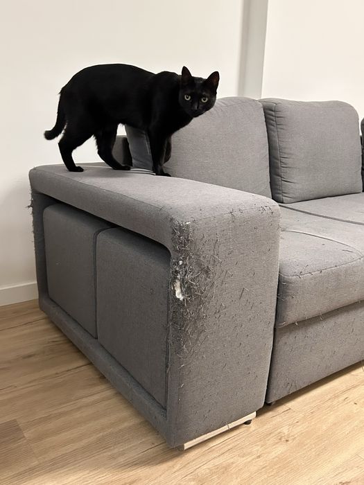 Doação Sofá com chaise e arrumação