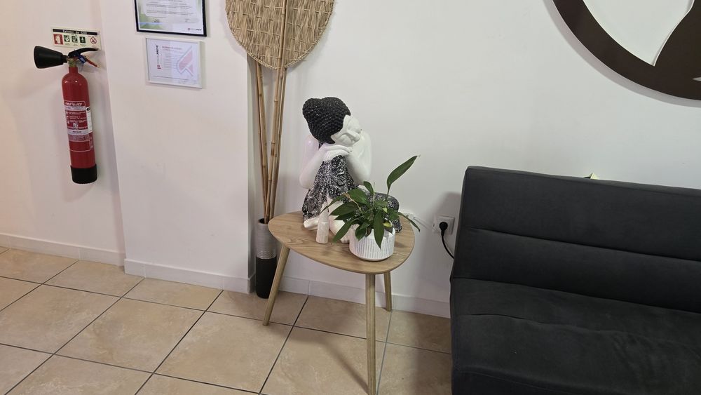 Vendo sofá com decoração
