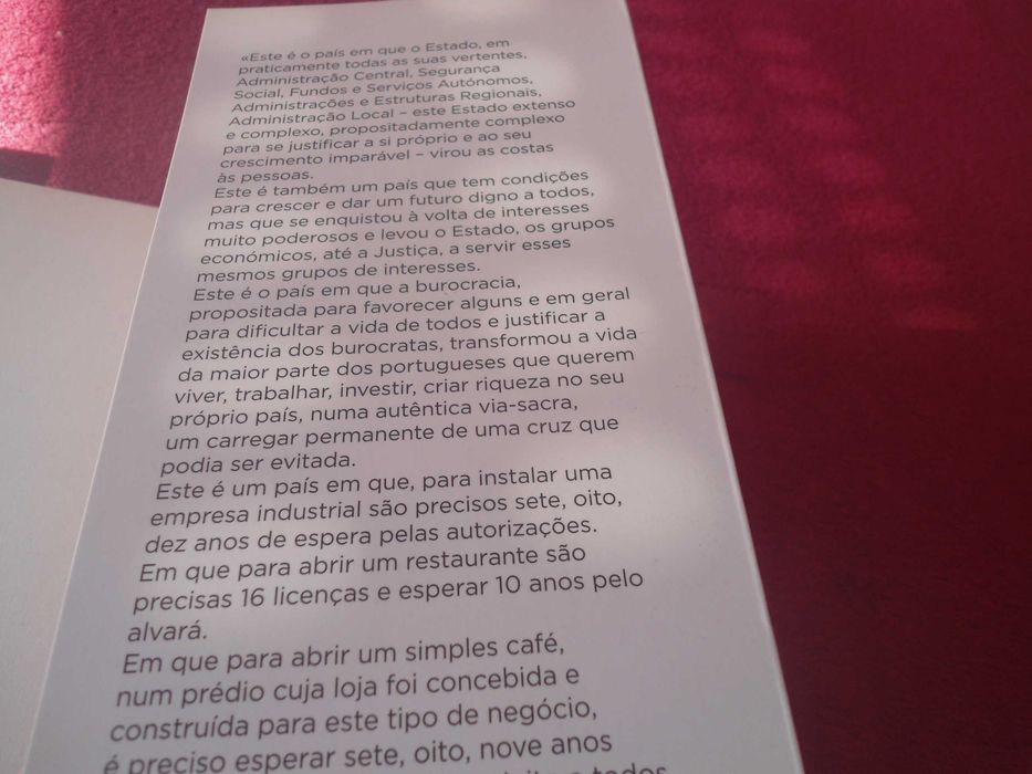 O Meu Programa de Governo por José Gomes Ferreira