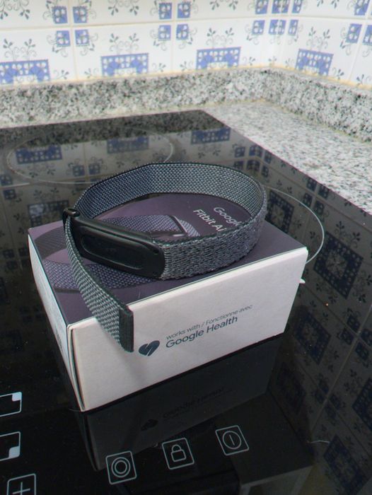 Google Fitbit Air