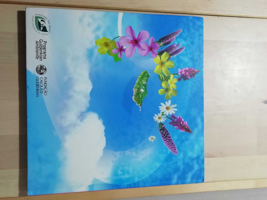 Livro infantil com 4 histórias Arca de Tesouros