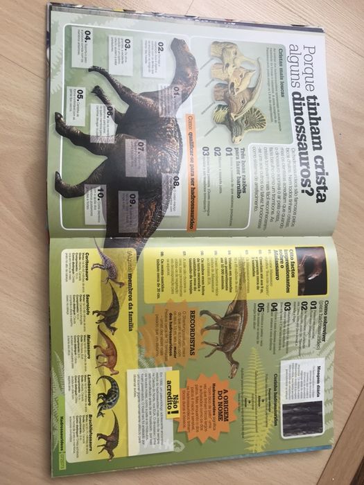 Livro “Eu sei Tudo”