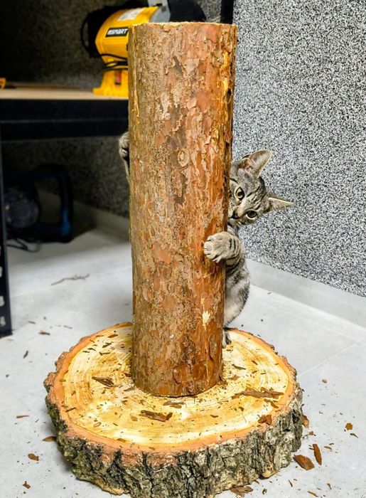 Eko Drapak dla Kota Naturalne Drewno Boho Design WYSYŁKA Hit