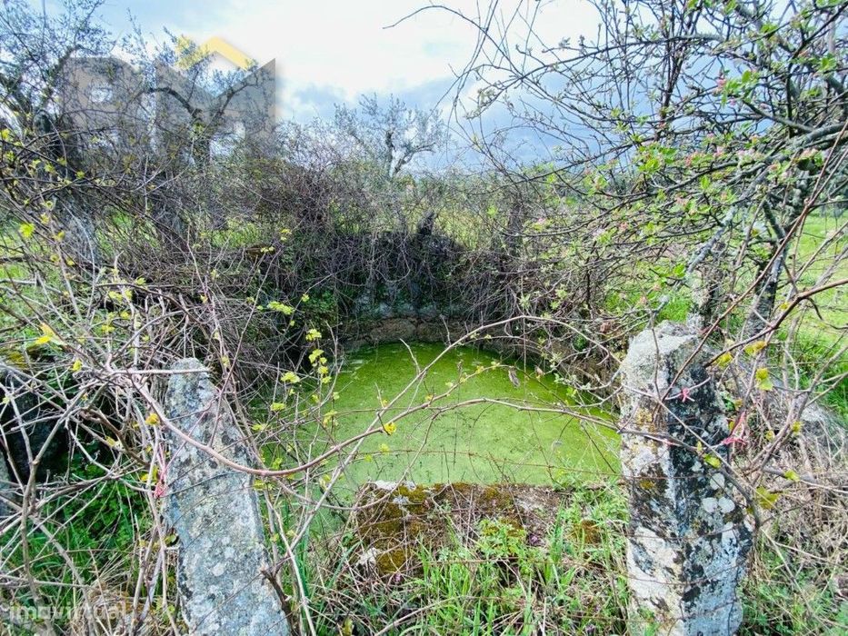 Quinta em zona rural tranquila